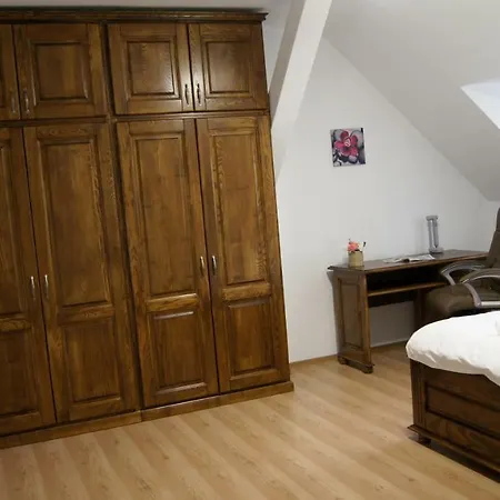 Anemona's House In The Center Of Villa Sibiu