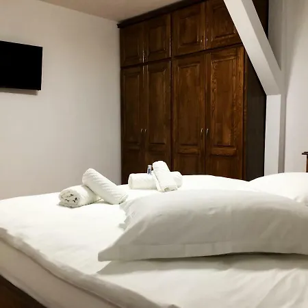 Villa Anemona's House In The Center Of Sibiu